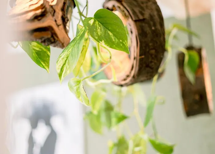 Vue Sur Le Golf Chez Les Grats-piscine-clim