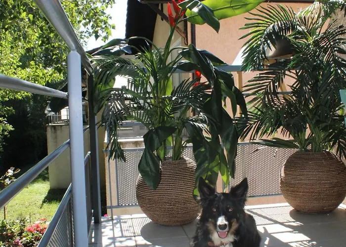 Vue Sur Le Golf Chez Les Grats-piscine-clim